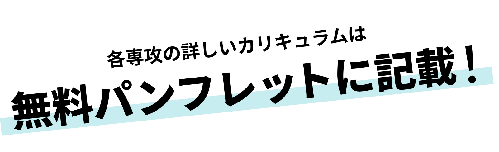 各専攻の詳しいカリキュラムは無料パンフレットに記載！